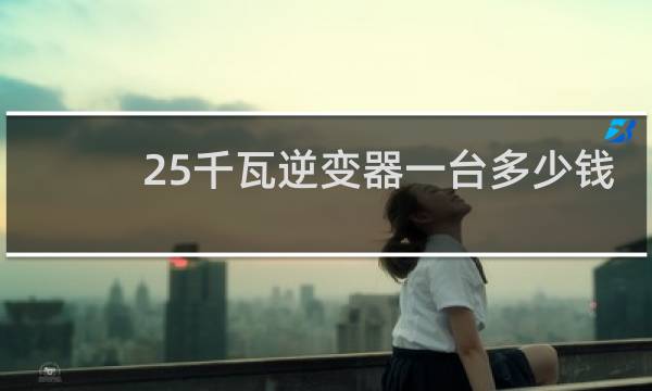25千瓦逆变器一台多少钱