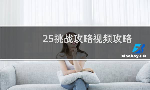 25挑战攻略视频攻略