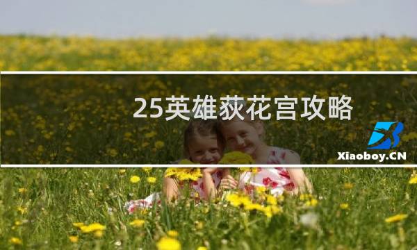 25英雄荻花宫攻略