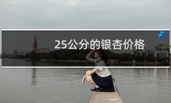 25公分的银杏价格