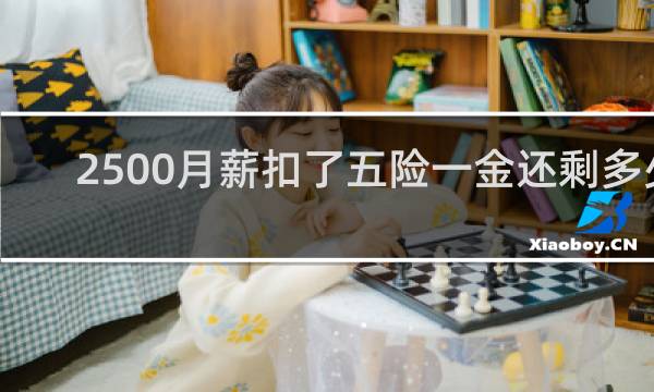 2500月薪扣了五险一金还剩多少图片