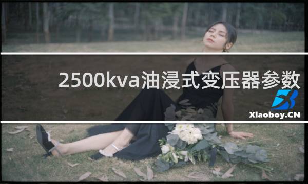 2500kva油浸式变压器参数
