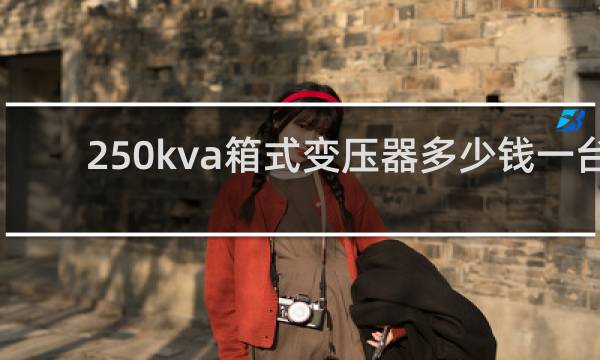 250kva箱式变压器多少钱一台