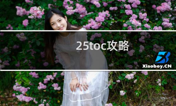 25toc攻略