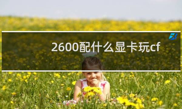 2600配什么显卡玩cf