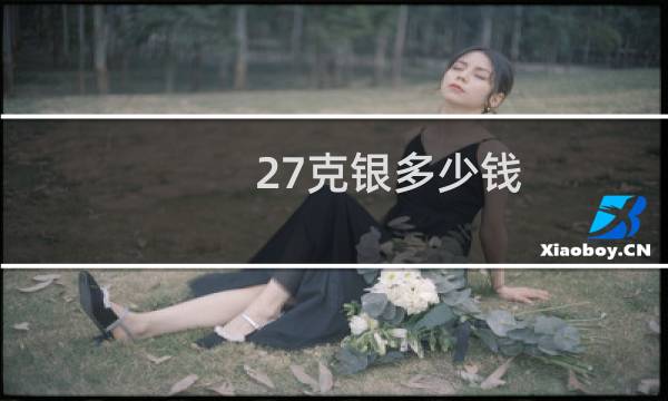 27克银多少钱