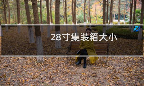 28寸集装箱大小