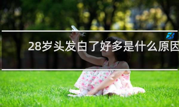 28岁头发白了好多是什么原因
