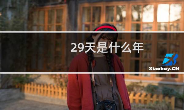 29天是什么年