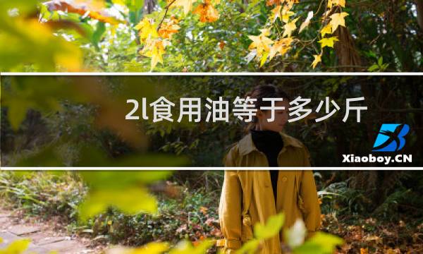 2l食用油等于多少斤