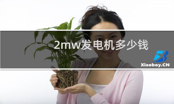 2mw发电机多少钱图片