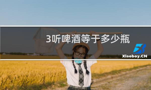 3听啤酒等于多少瓶
