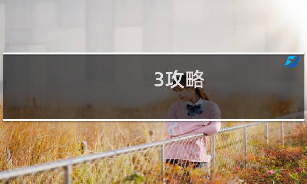 3攻略