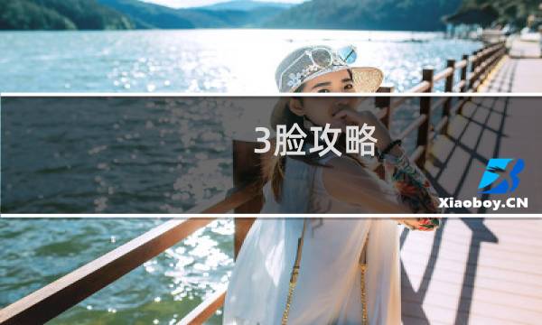 3脸攻略
