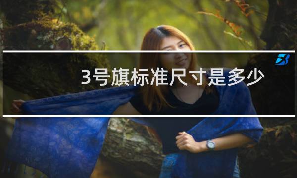 3号旗标准尺寸是多少（3号旗帜尺寸是多少）图片