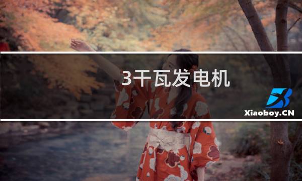3干瓦发电机图片