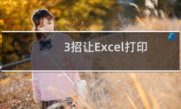 3招让Excel打印又省时又省墨省纸