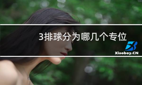 3排球分为哪几个专位