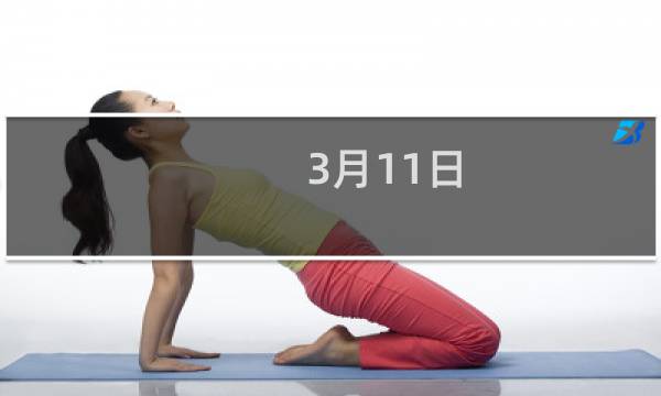 3月11日
