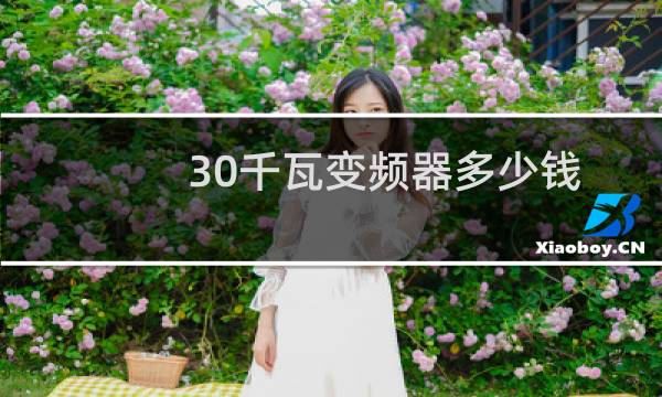 30千瓦变频器多少钱