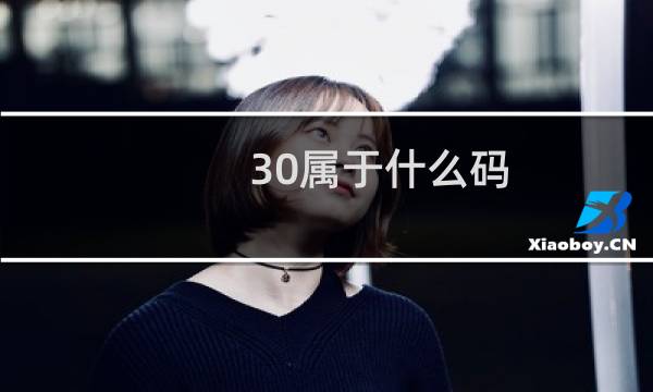30属于什么码