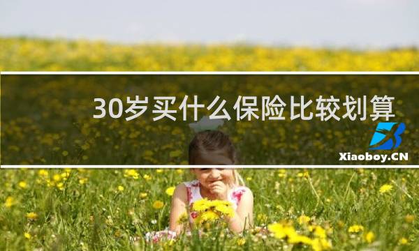 30岁买什么保险比较划算