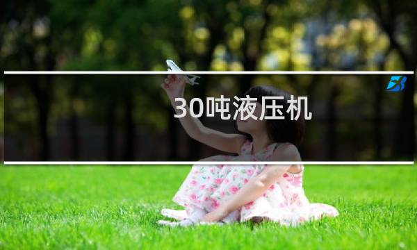 30吨液压机