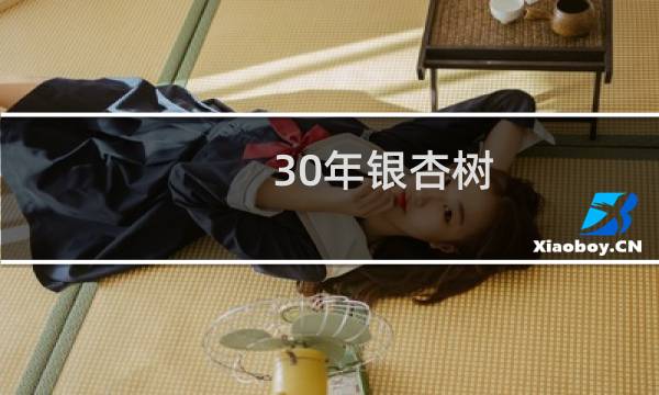 30年银杏树