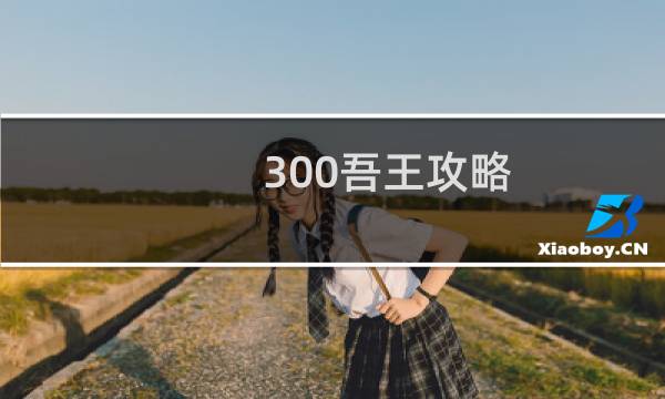 300吾王攻略