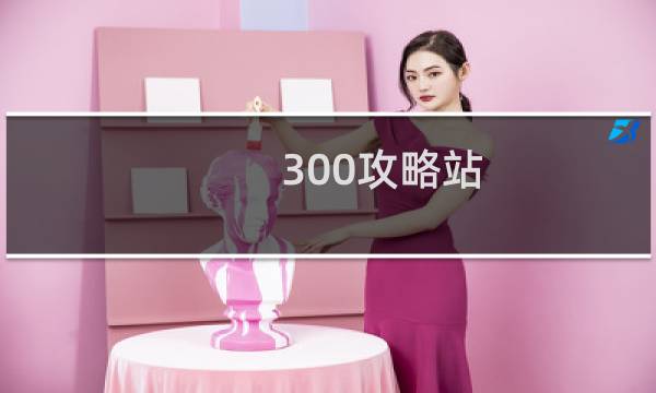 300攻略站