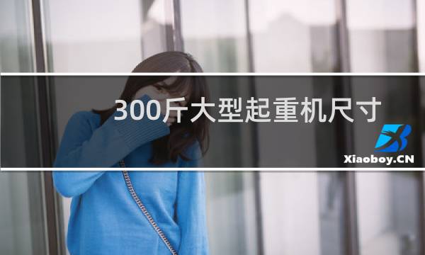 300斤大型起重机尺寸