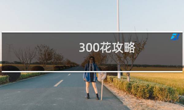 300花攻略