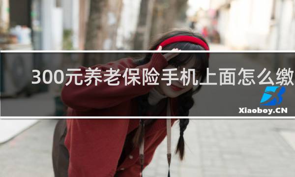 300元养老保险手机上面怎么缴费