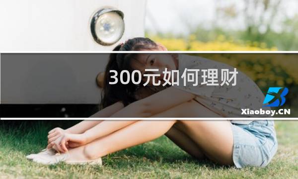 300元如何理财图片