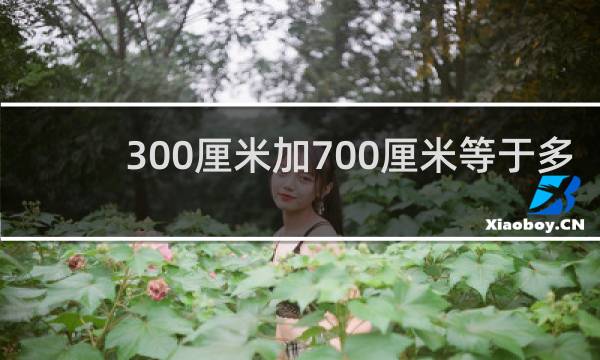 300厘米加700厘米等于多少米
