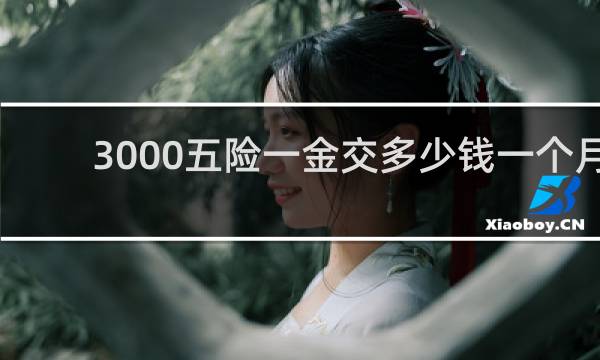 3000五险一金交多少钱一个月