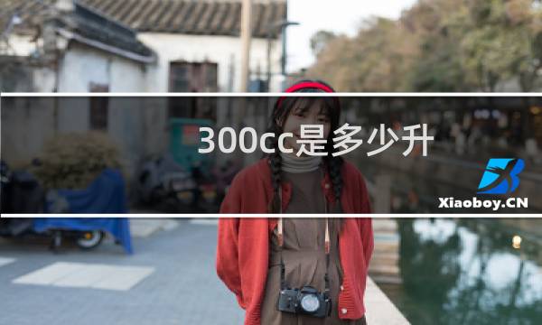 300cc是多少升