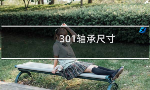 301轴承尺寸