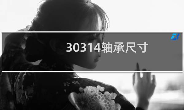 30314轴承尺寸