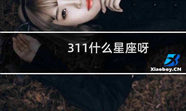311什么星座呀