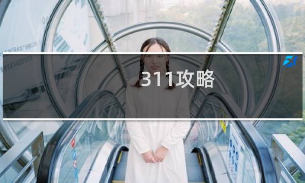 311攻略