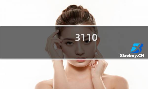 3110图片