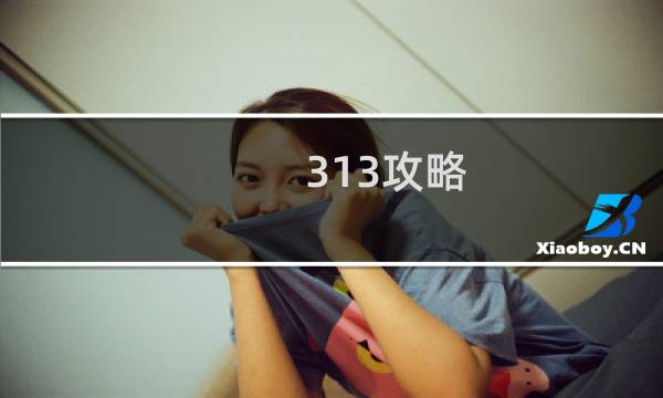 313攻略