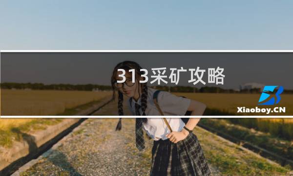 313采矿攻略