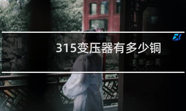 315变压器有多少铜