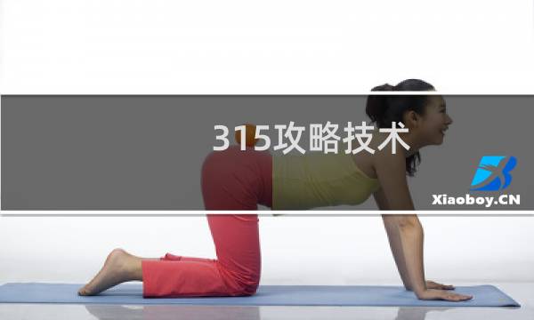 315攻略技术