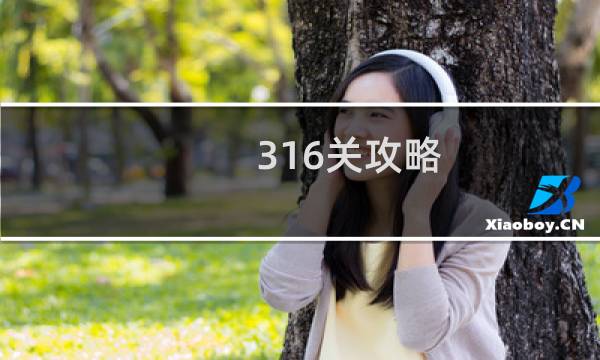 316关攻略