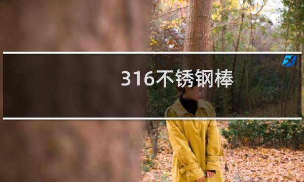 316不锈钢棒