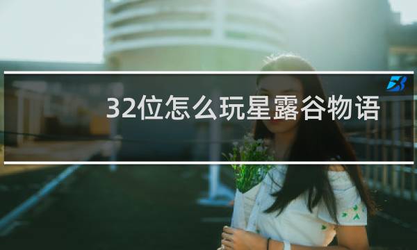 32位怎么玩星露谷物语