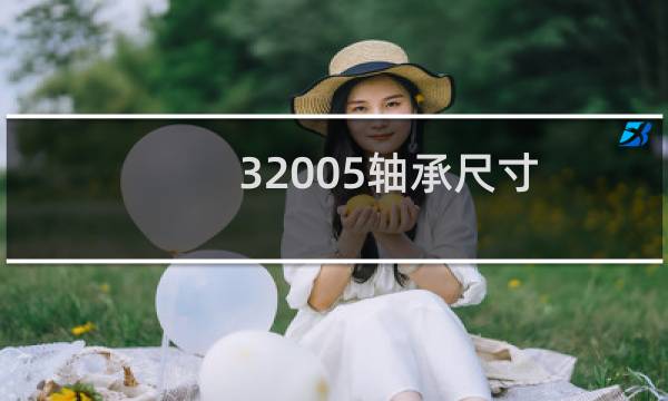 32005轴承尺寸